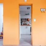 Cálida casa en el fin del mundo